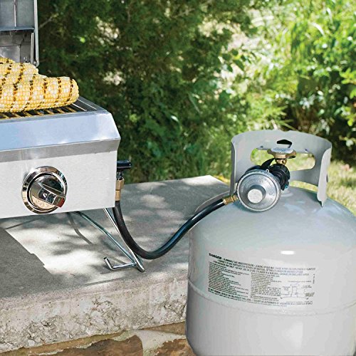 Portable Stainless Steel 2-Burner Gas Grill