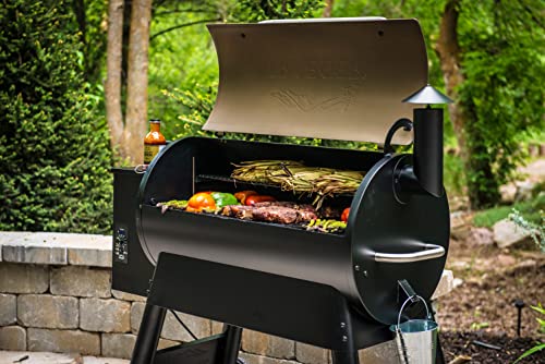 Large Bronze Electric Pellet Grill by Traeger