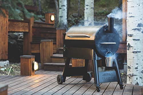 Large Bronze Electric Pellet Grill by Traeger