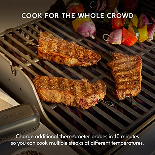 Wireless Smart Meat Thermometer for BBQ & More