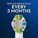 Oral-B Floss Action Brush Heads – Pack of 6