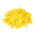 400 Dental Matrix Wedges for Teeth Interproximal Care