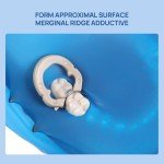 50 Dental Sectional Matrix Bands for Molar Use