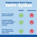 Xylitol Chewing Gum - Spearmint Flavor, 150 Pieces