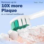 Relax Artist Sonicare Brush Head Replacements, 8 Pack