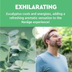 Eucalyptus SaltPod Bundle: 90 SaltPods Total