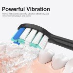 6 Pack Replacement Brush Heads for Philips Sonicare