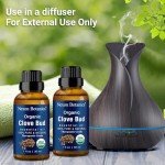 Organic Clove Essential Oil 30 ml - Pure, Undiluted - Clove Oil for Tooth Ache Ease - Soothes Sore Muscles - Clove Bud Essential Oil for Teeth, Gums, Toothache, Skin Use and Hair Care - Nexon Botanics