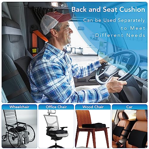 Memory Foam Coccyx Cushion & Lumbar Support Pillow