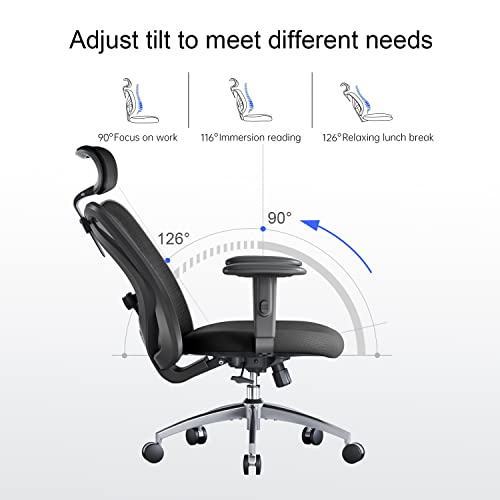 Sihoo Adjustable Ergonomic Mesh Office Chair