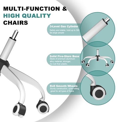 Mimoglad Ergonomic Office Chair with Adjustable Support