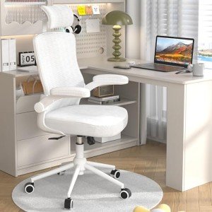 Ergonomic High Back Mesh Office Chair