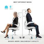 Ergonomic High Back Mesh Office Chair