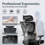 Ergonomic High Back Office Chair with Lumbar Support