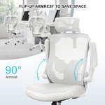 Ergonomic High Back Mesh Office Chair