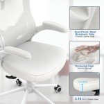 Ergonomic High Back Mesh Office Chair