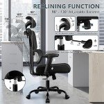 Ergonomic High Back Office Chair with Lumbar Support