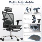 Ergonomic Office Chair with Adjustable Lumbar Support