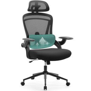 Adjustable Ergonomic Office Chair with Lumbar Support