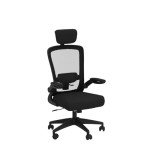 FelixKing Ergonomic High Back Office Chair