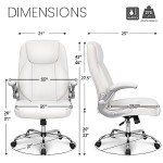 NEO Ergonomic Executive Chair with Lumbar Support