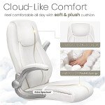 NEO Ergonomic Executive Chair with Lumbar Support