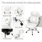 NEO Ergonomic Executive Chair with Lumbar Support