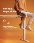 ErGear Adjustable Height Electric Standing Desk