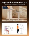 ErGear Adjustable Height Electric Standing Desk