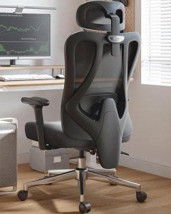 Hbada P3 Ergonomic Office Chair with Adjustable Support