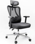 Hbada P3 Ergonomic Office Chair with Adjustable Support