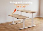 BANTI 48'' Electric Height Adjustable Standing Desk