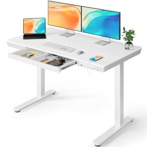 ErGear Electric Height Adjustable Standing Desk