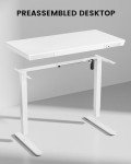 ErGear Electric Height Adjustable Standing Desk