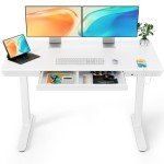ErGear Electric Height Adjustable Standing Desk