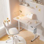 Electric Height Adjustable Standing Desk, 48x24 Inches