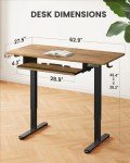ErGear Electric Height Adjustable Desk with Keyboard Tray