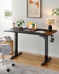 ErGear Adjustable Electric Standing Desk 60x24 inches
