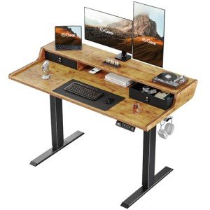 ErGear Height Adjustable Electric Standing Desk