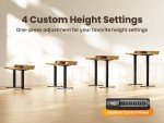 ErGear Height Adjustable Electric Standing Desk