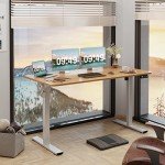 55" Ergonomic Electric Height Adjustable Standing Desk