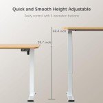 55" Ergonomic Electric Height Adjustable Standing Desk