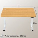 55" Ergonomic Electric Height Adjustable Standing Desk