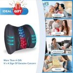Memory Foam Lumbar Support Pillow for Pain Relief