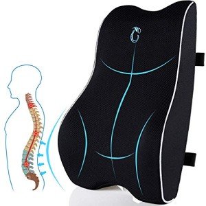 Memory Foam Lumbar Support Pillow with 3D Mesh