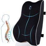 Memory Foam Lumbar Support Pillow with 3D Mesh