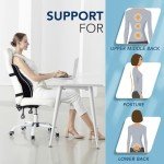 Memory Foam Lumbar Support Pillow with 3D Mesh