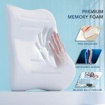 Memory Foam Lumbar Support Pillow with 3D Mesh