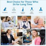 Memory Foam Lumbar Support Pillow with 3D Mesh