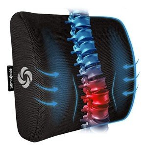 Samsonite Memory Foam Lumbar Support Pillow